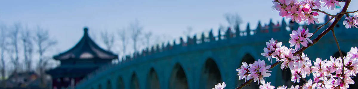 7-Day Beijing Spring Ancient Capital History & Flower Viewing Study Tour