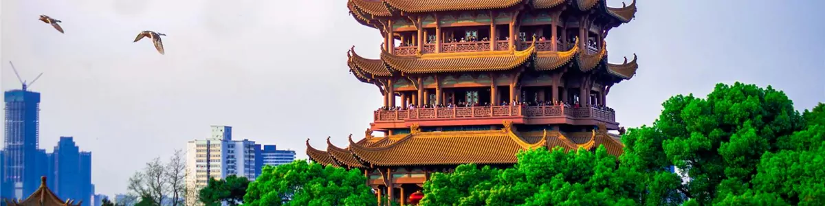 5-Day Wuhan & Central China Spring Cherry Blossom Tour