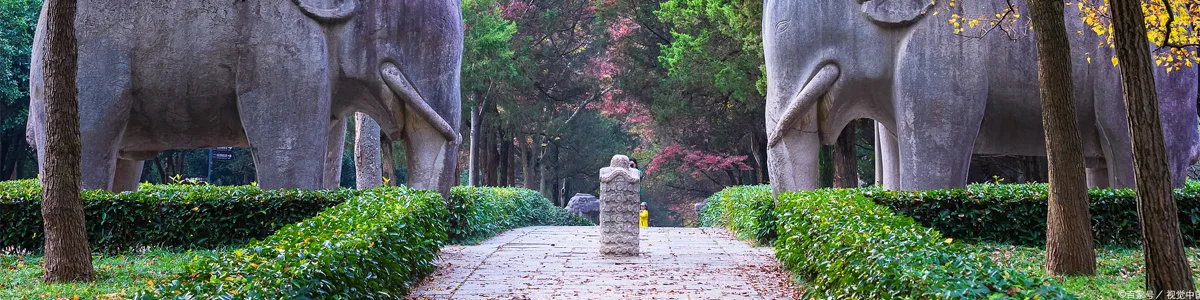 China History Study Tour for High School
