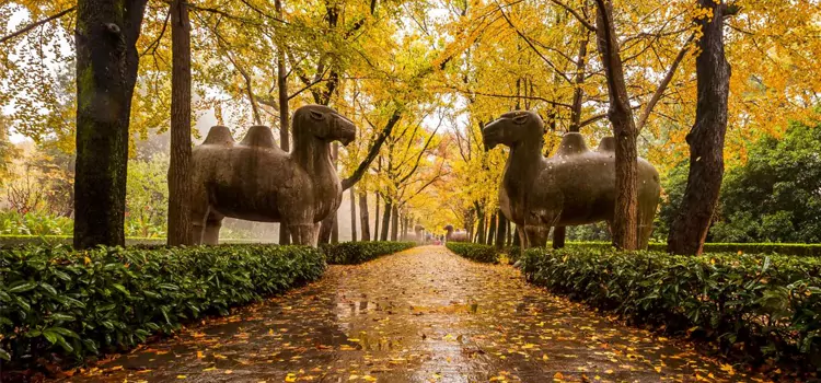 China History Study Tour for High School
