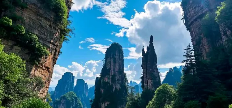 5-Day Zhangjiajie Geology & Forest Ecology Study Tour