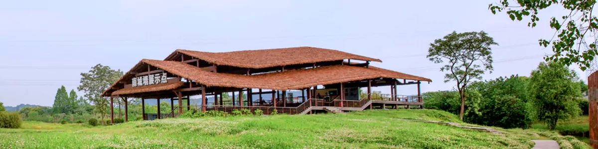 Liangzhu Ancient Civilization Heritage Tour