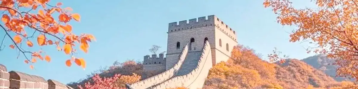 8-Day Beijing & Great Wall Autumn History & Golden Scenery Study Tour