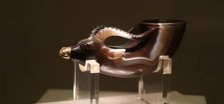 Museum Expert-Guided English Tours in China