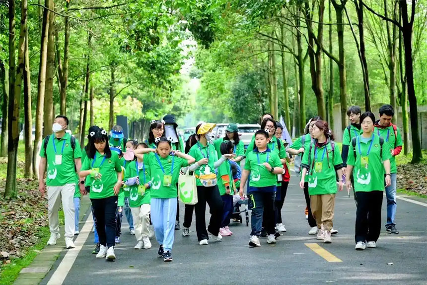 Chinese study tours offer unique projects for visitors to experience