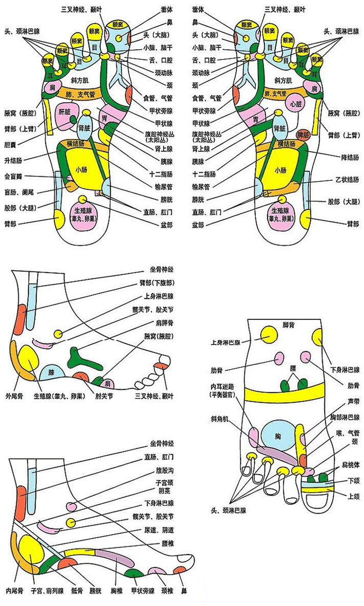 Foot Reflexology