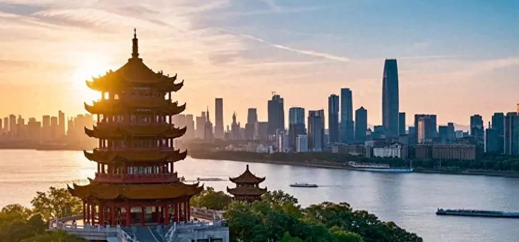 Wuhan study tours