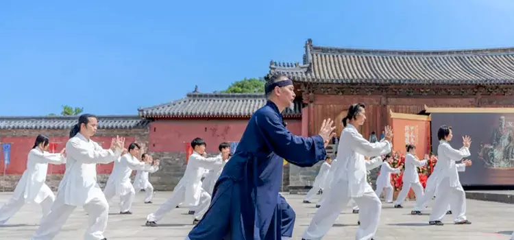 Wudang Martial Arts