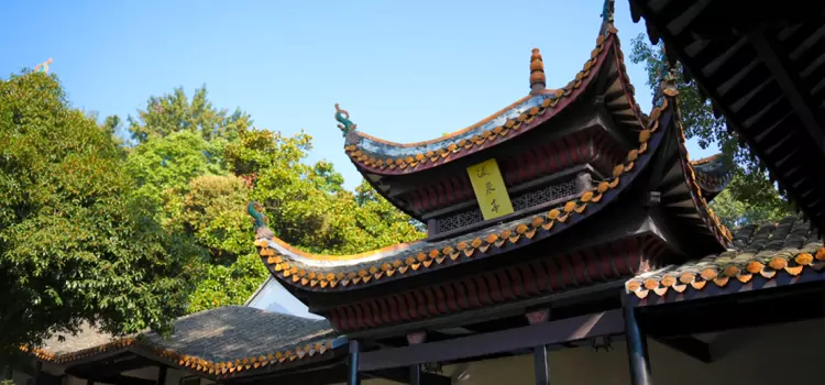 8-Day Changsha & Zhangjiajie STEAM Study Tour