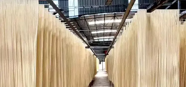 Dumpling - Noodle Market Tour