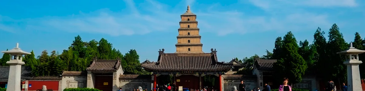 Silk Road Cultural Exploration Tour