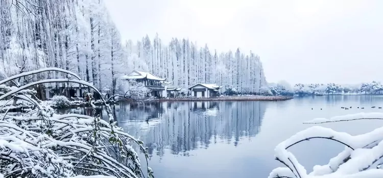 10-Day Yangtze River Delta Winter Humanities & Art Winter Camp