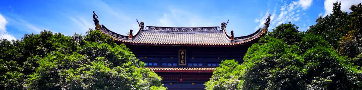 8-Day Changsha & Zhangjiajie STEAM Study Tour