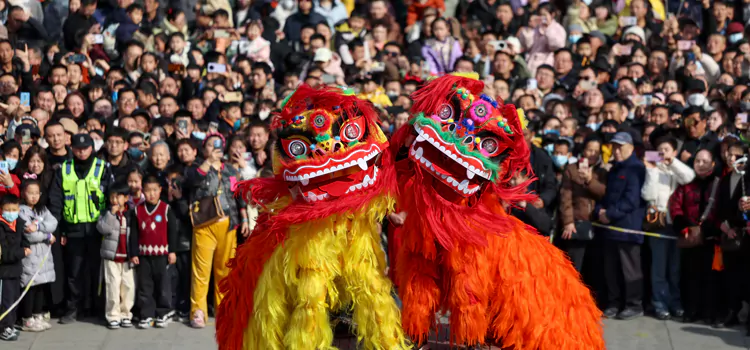 Lion Dance Performance in China