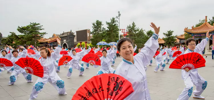 Tai Chi Fan