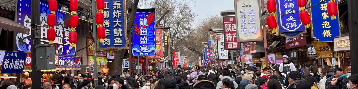 6-Day Xi'an Mandarin Immersion & Shaanxi Folk Culture Winter Camp