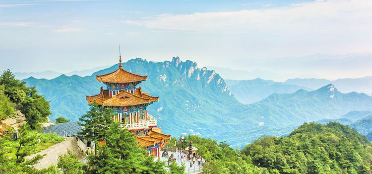 Guangzhou - Southern Trade Hub & Automotive Business Tour