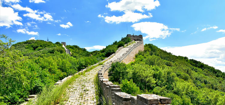 Beijing, Xi'an, Chengdu & Shanghai - China in One Journey